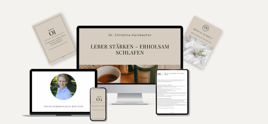 Mock up Leber